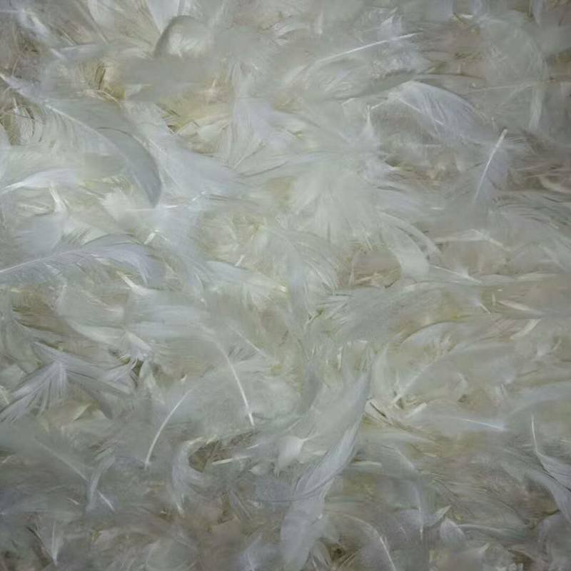 生产羽毛粉原料厂家排名	